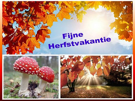 herfstvakantie-2024-1729013481.jpg